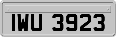 IWU3923