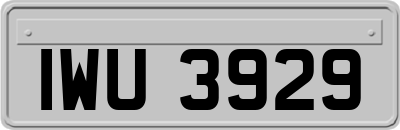 IWU3929