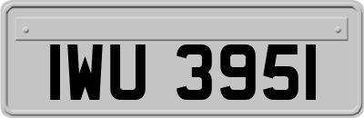 IWU3951