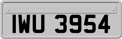 IWU3954