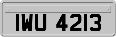 IWU4213