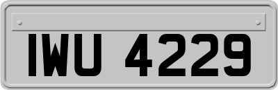 IWU4229