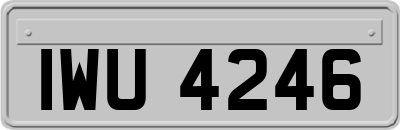 IWU4246