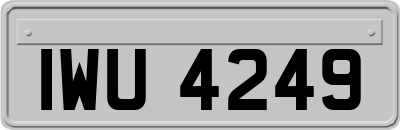 IWU4249