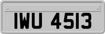 IWU4513