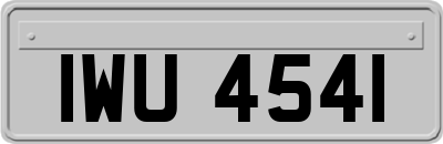 IWU4541