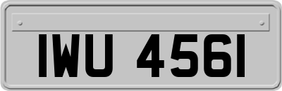 IWU4561