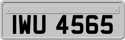 IWU4565