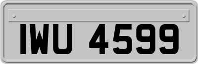 IWU4599