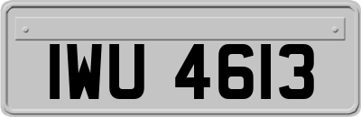 IWU4613
