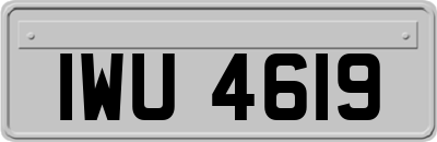 IWU4619