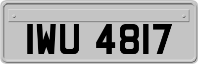 IWU4817