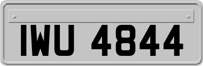 IWU4844