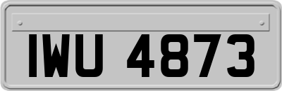 IWU4873