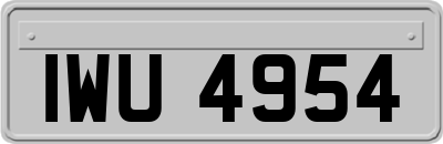 IWU4954