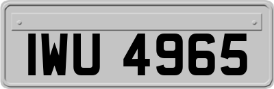 IWU4965