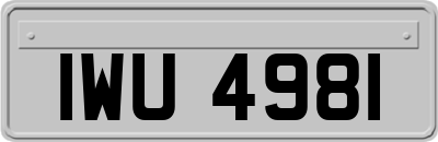 IWU4981
