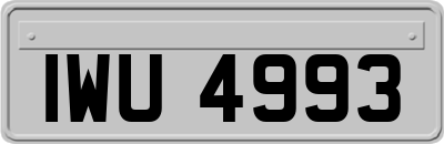 IWU4993