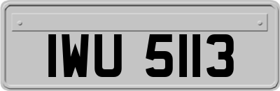 IWU5113