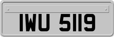 IWU5119