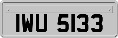 IWU5133