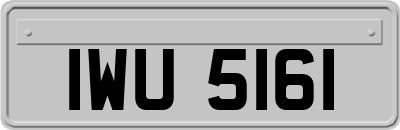 IWU5161