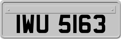 IWU5163