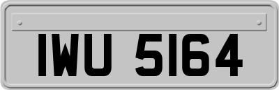 IWU5164