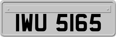 IWU5165