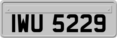 IWU5229