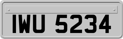 IWU5234