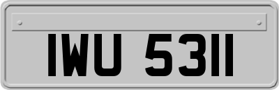IWU5311