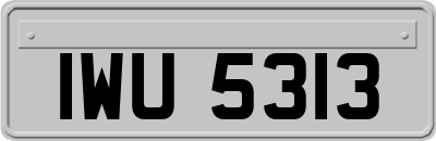 IWU5313