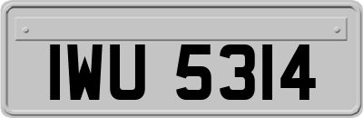 IWU5314