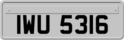 IWU5316