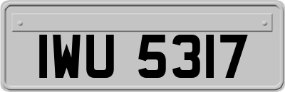IWU5317