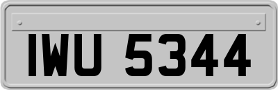 IWU5344