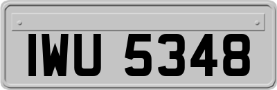 IWU5348