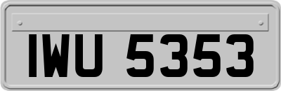IWU5353