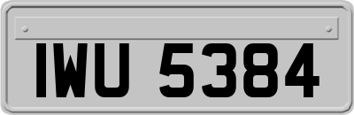 IWU5384