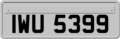 IWU5399
