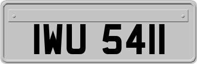 IWU5411