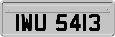 IWU5413