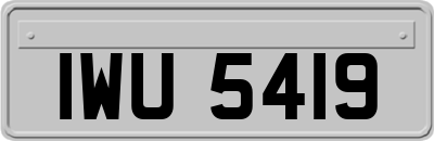 IWU5419