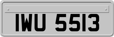 IWU5513