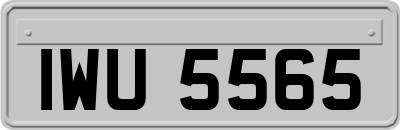 IWU5565