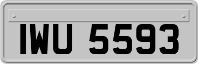 IWU5593