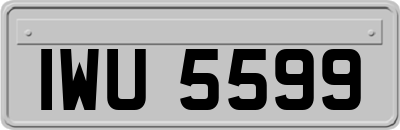 IWU5599