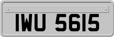 IWU5615