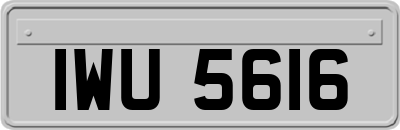IWU5616